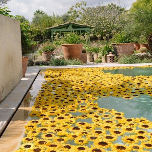 Shri Balaji Perfect Wedding Planner Jim Corbett